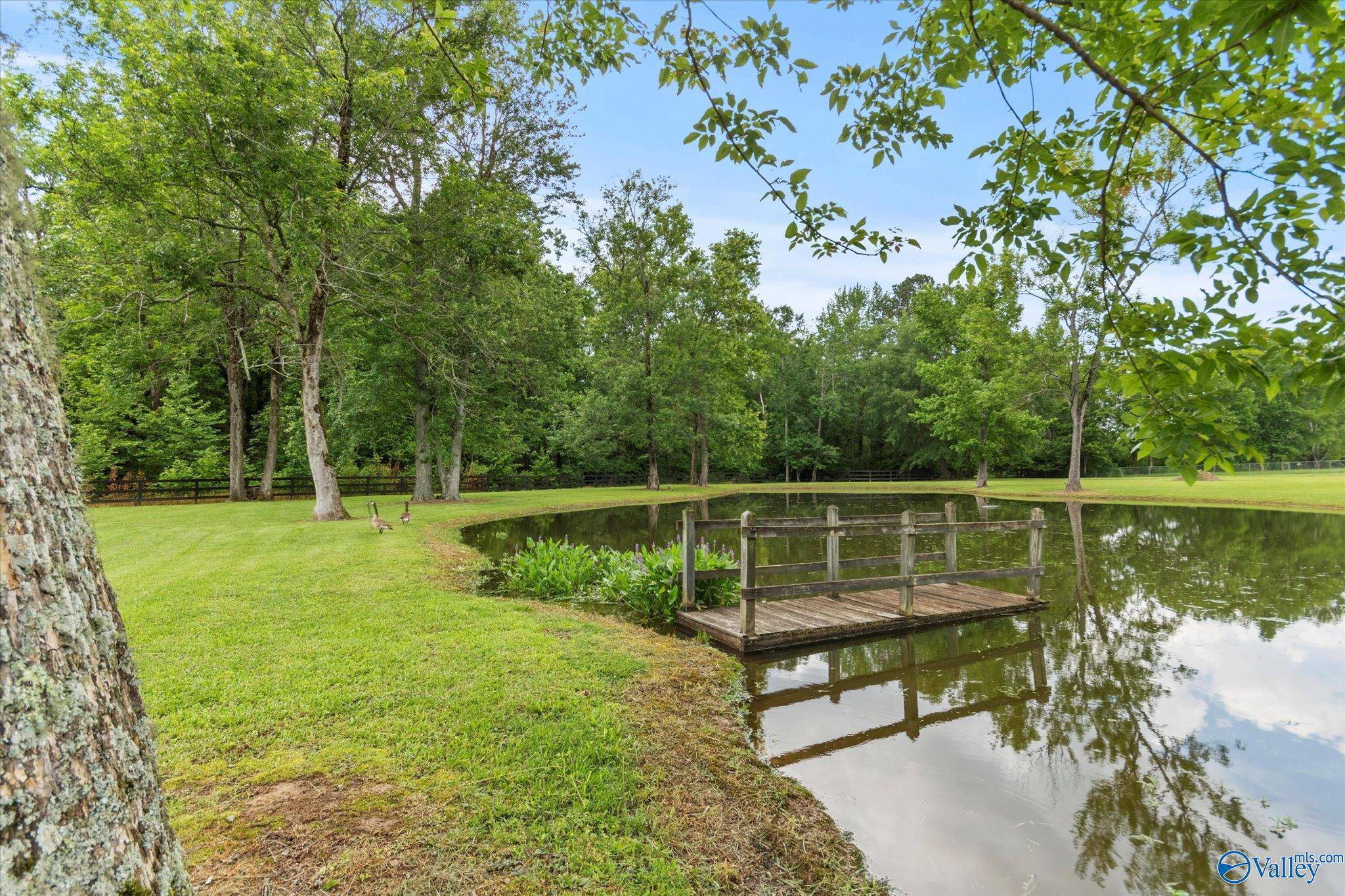 156 South Green Mountain Road, Owens Cross Roads, Alabama image 39