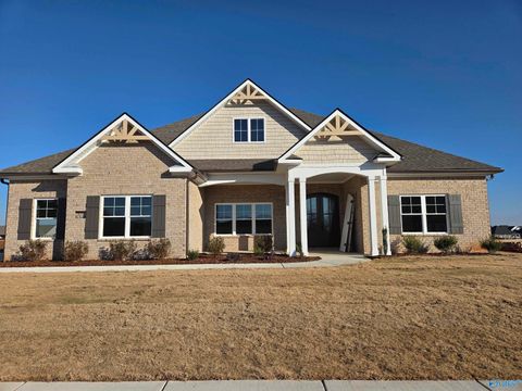 Photo of 141 Brier View Drive, Meridianville, AL 35759 (MLS # 21906701)