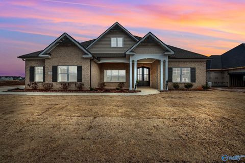 Homes For Sale - 141 Brier View Drive<br/> Meridianville, AL 35759