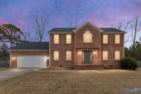 Photo of 226 Chestnut Oak Circle, Owens Cross Roads, AL 35763 (MLS # 21911246)