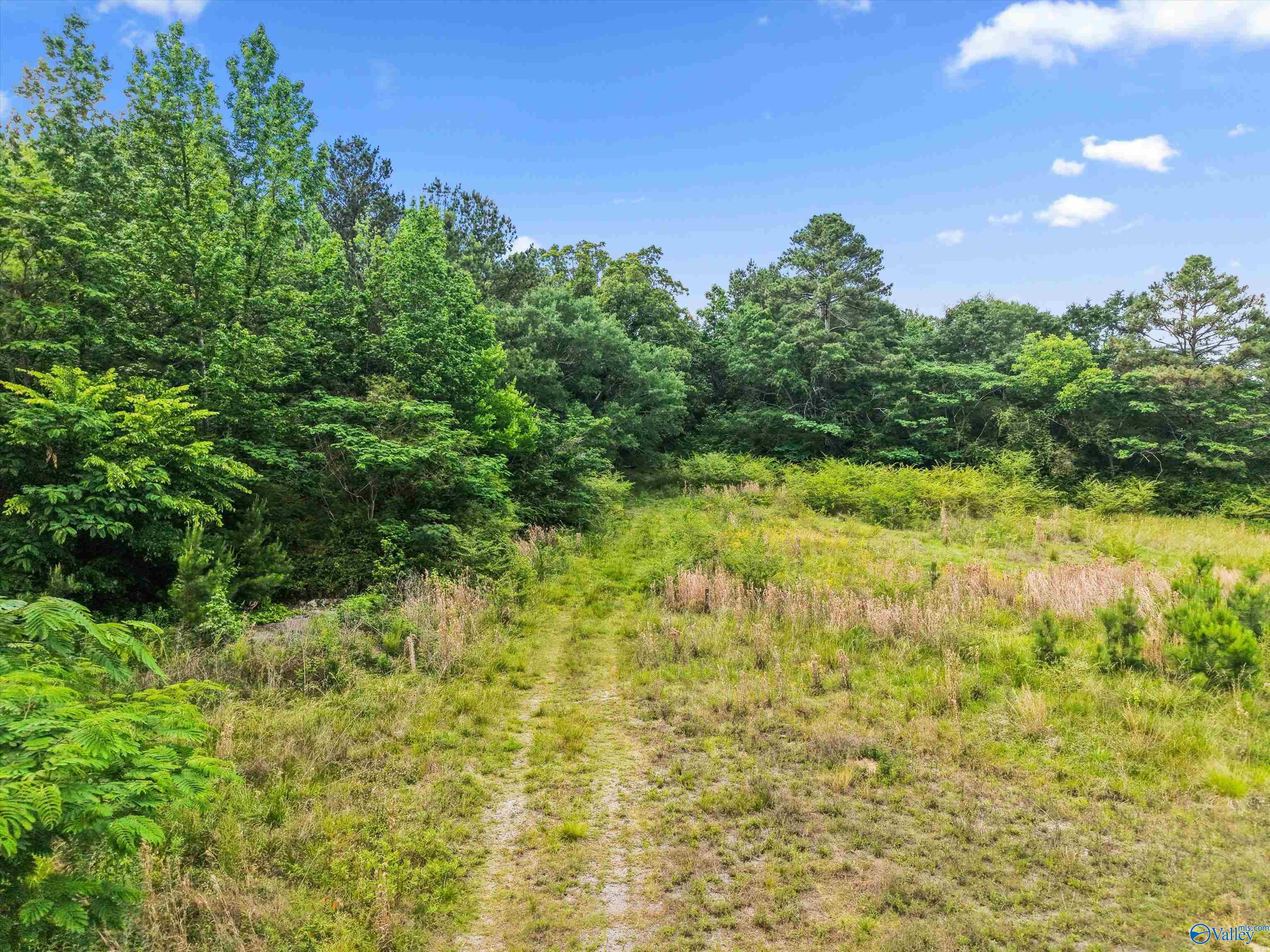 7 County Road 1170