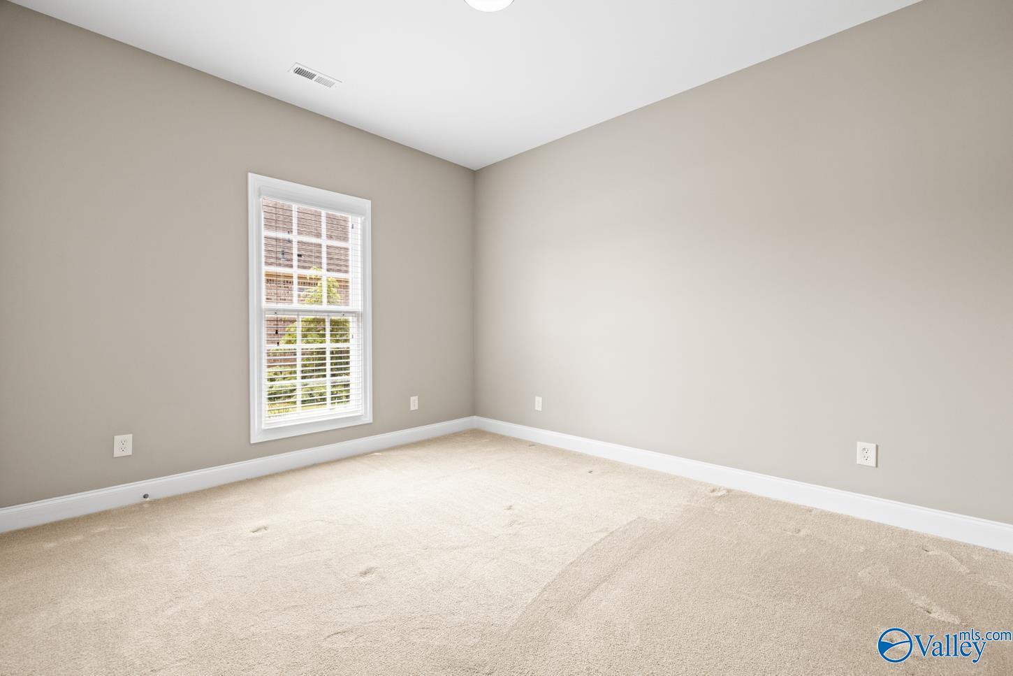 107 Talia Drive, Madison, Alabama image 11