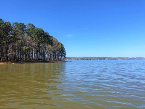 Vacant Land For Sale - LOT 4 Little River Landing<br/> Cedar Bluff, AL 35959