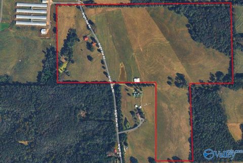 Homes For Sale - 695 Bright Star Road<br/> Horton, AL 35980