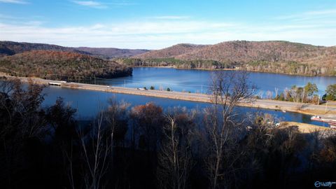 Vacant Land For Sale - 4.08 ACRES Mitchell Hollow Road<br/> Grant, AL 35747