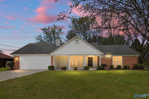 Photo of 205 Perennial Way, Madison, AL 35757 (MLS # 21912221)