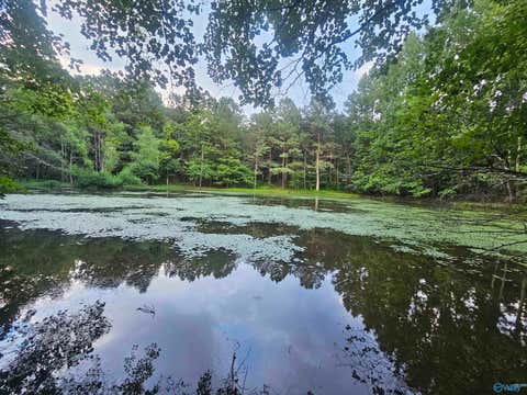 Vacant Land For Sale - .714 County Road 72<br/> Mentone, AL 35984