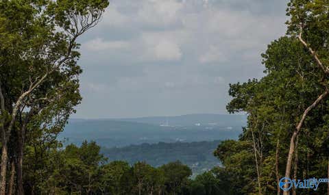 Vacant Land For Sale - 10 South Ridge<br/> Huntsville, AL 35802