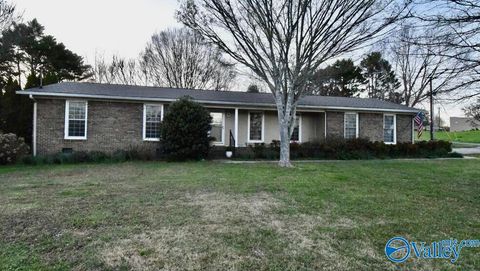 Photo of 3400 Sorter Drive, Guntersville, AL 35976 (MLS # 21912327)