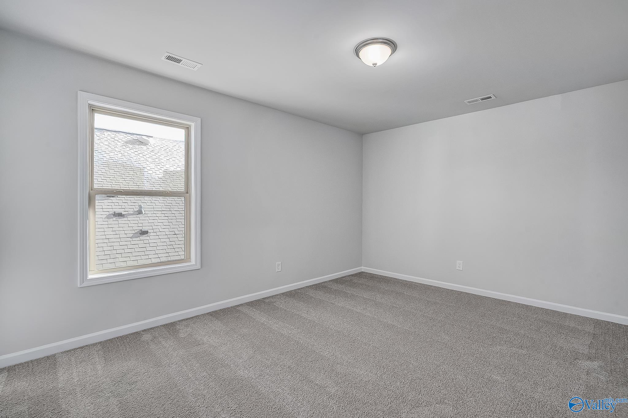164 Virtue Way, Harvest, Alabama image 28