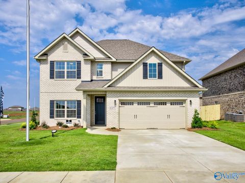 Homes For Sale - 116 Cotita Drive<br/> Toney, AL 35773