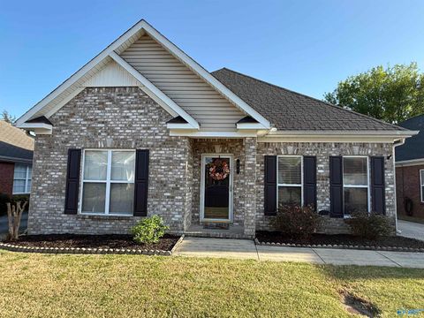 Homes For Sale - 992 Tracey Lane<br/> Morgan County, Decatur, AL 35601