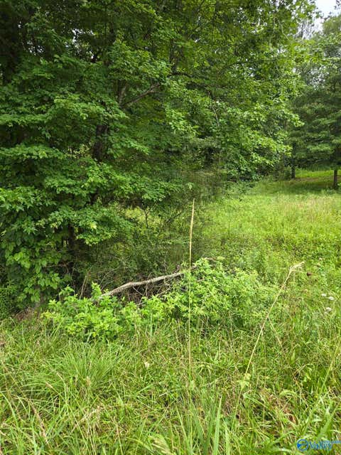 Vacant Land For Sale - 1 ACRE Clairmont Springs Road<br/> Lineville, AL 36266