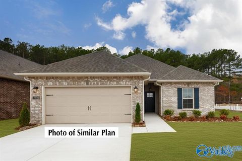 Photo of 24582 Mia Grace Lane, Toney, AL 35773 (MLS # 21911483)