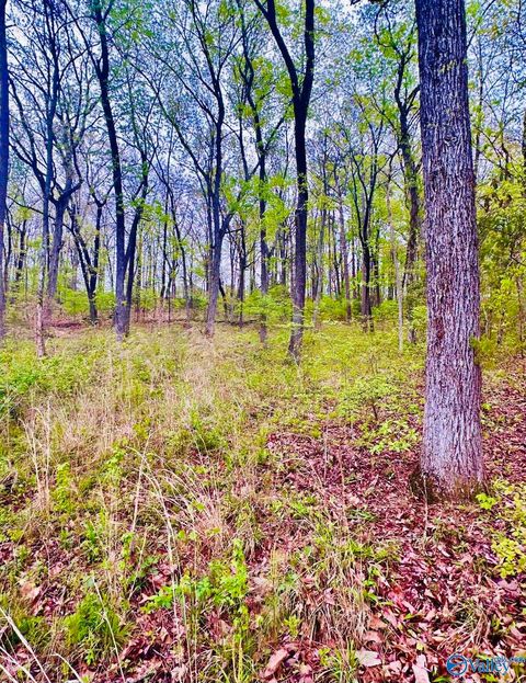 Vacant Land For Sale - LOT 14 Murray Drive<br/> Morgan County, Decatur, AL 35603