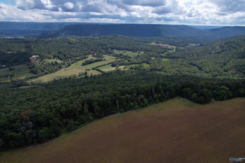 Vacant Land For Sale - 7.48 AC County Road 75<br/> Dekalb County, Flat Rock, AL 35966