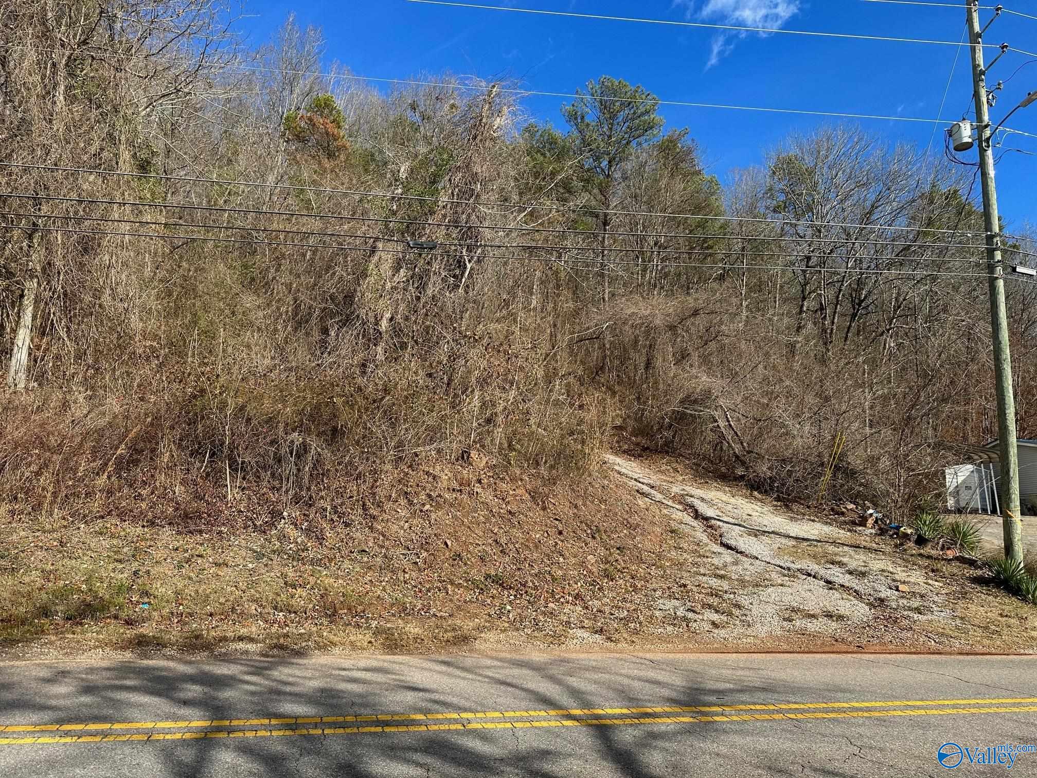 4.45 Acres Riddles Bend Road, Rainbow City, Alabama image 5