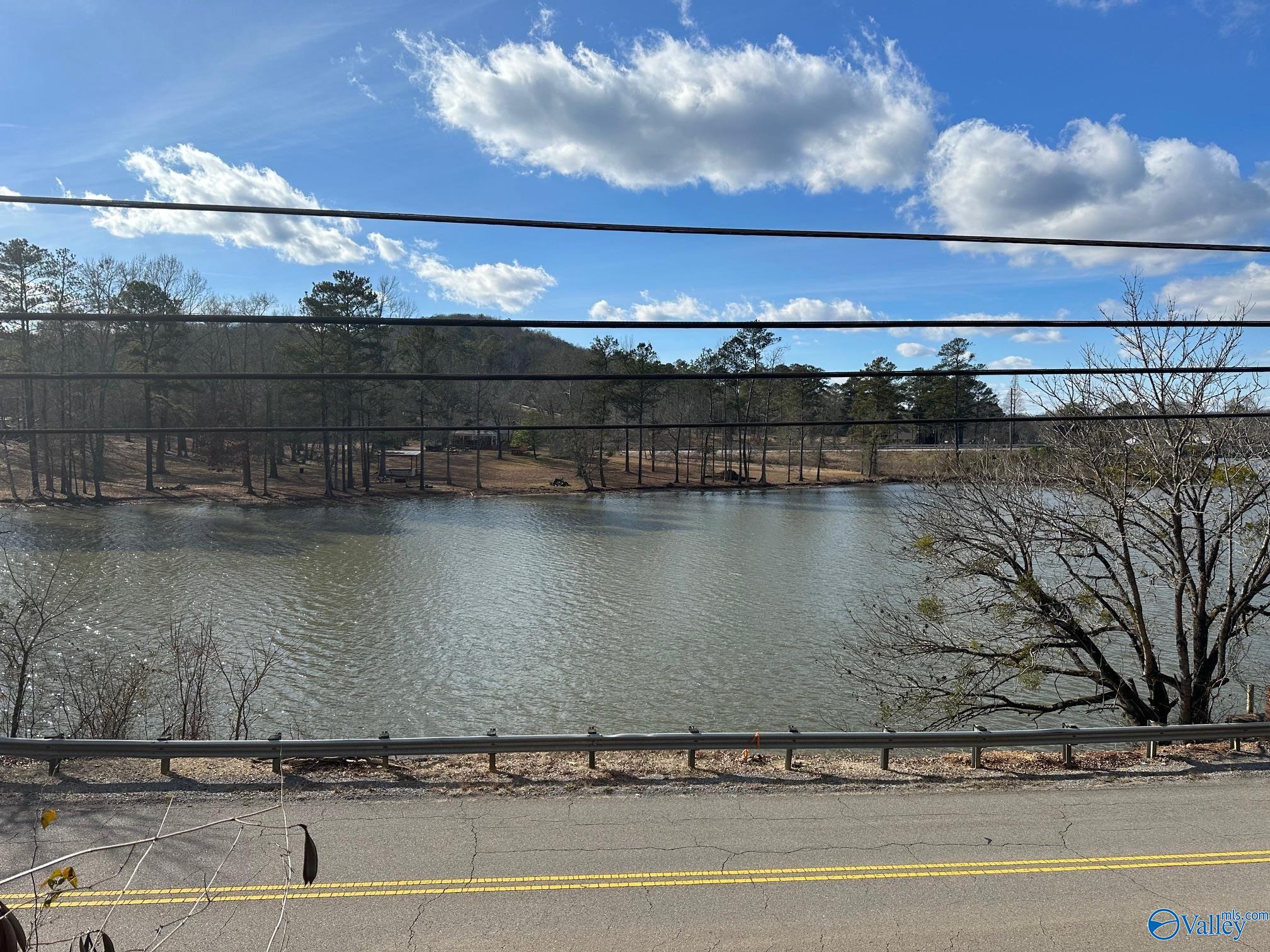 4.45 Acres Riddles Bend Road, Rainbow City, Alabama image 9