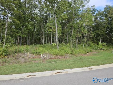 4107 Piedmont Drive Huntsville AL 35802