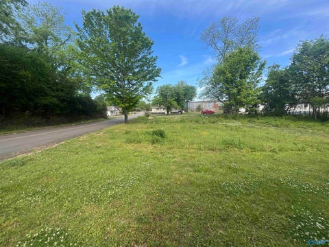 Vacant Land For Sale - 203 2nd Avenue<br/> Centre, AL 35960