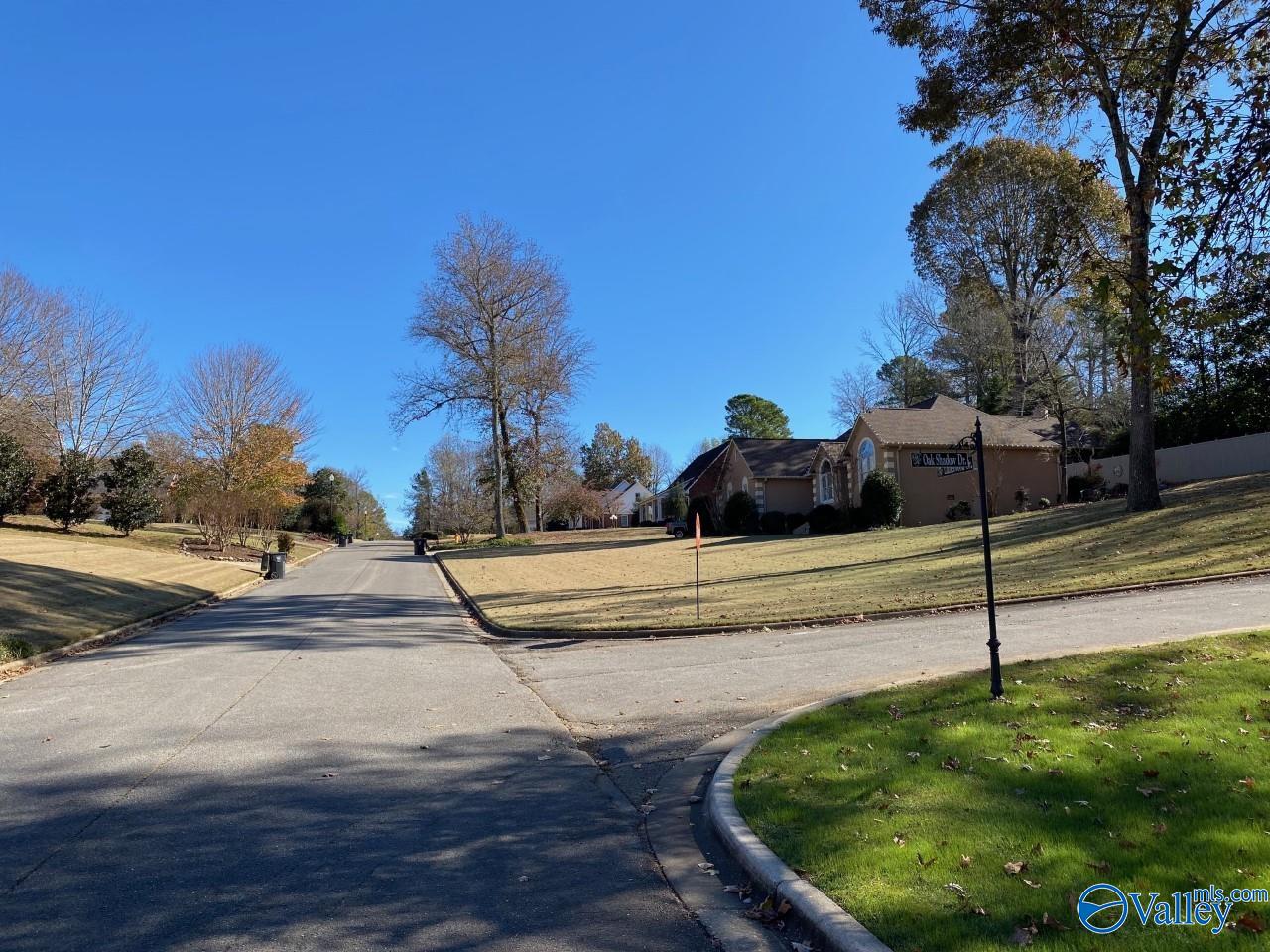 103 Oak Shadow Street, Russellville, Alabama image 9