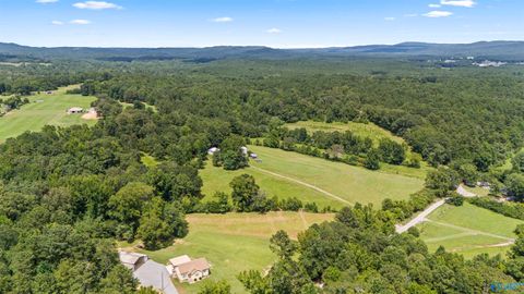 Vacant Land For Sale - 2AC County Road 501<br/> Cullman County, Hanceville, AL 35077