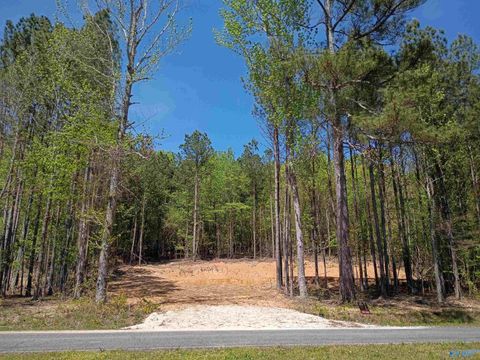 Vacant Land For Sale - 149 County Road 686<br/> Cedar Bluff, AL 35959
