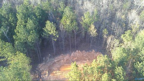 Vacant Land For Sale - 149 County Road 686<br/> Cherokee County, Cedar Bluff, AL 35959