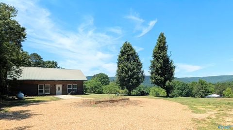 Photo of 142 Tolbert Drive, Steele, AL 35987 (MLS # 21917146)