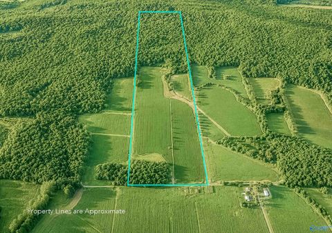 Vacant Land For Sale - 99AC Simmons Lane<br/> New Market, AL 35761