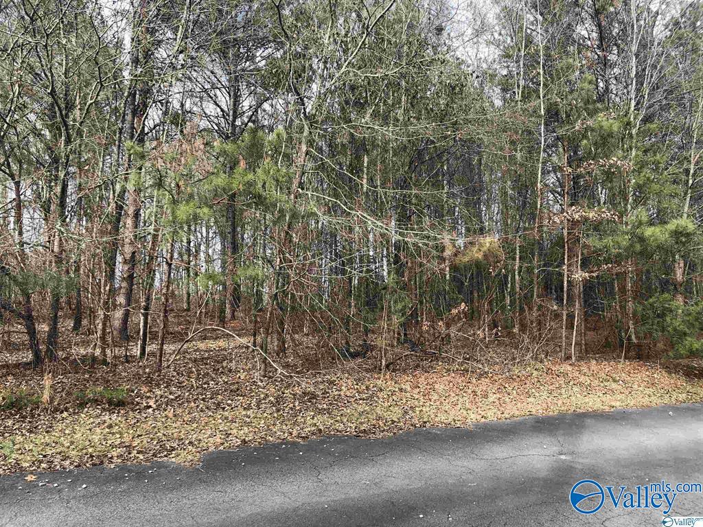 1350 County Road 137, Cedar Bluff, Alabama image 11