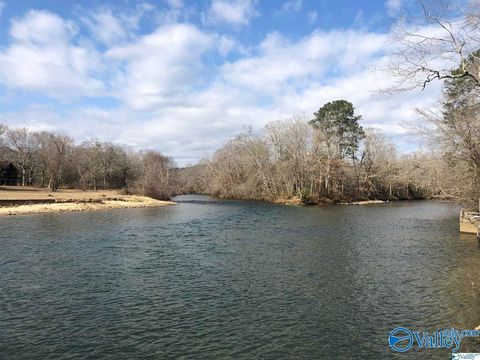 Vacant Land For Sale - 1350 County Road 137<br/> Cherokee County, Cedar Bluff, AL 35959