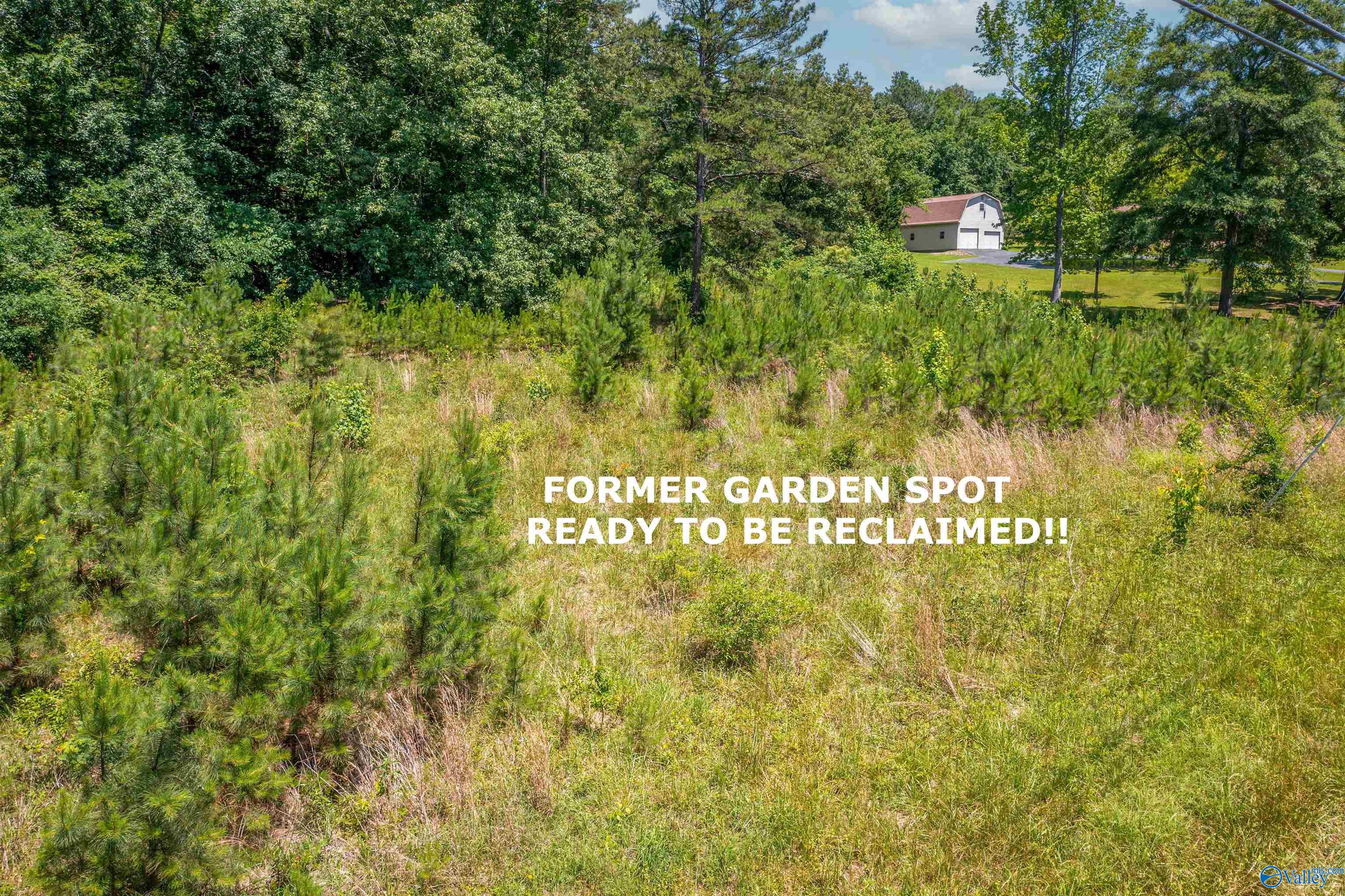 6210 Highway 411, Gadsden, Alabama image 23