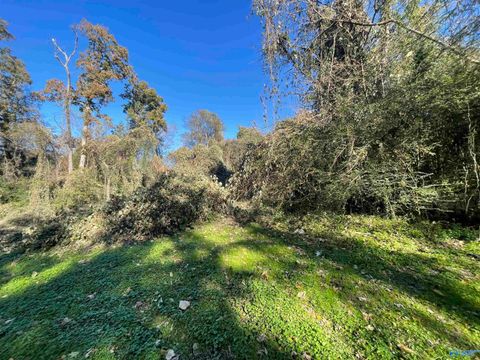Vacant Land For Sale - 10 Wood Avenue<br/> Colbert County, Sheffield, AL 35660