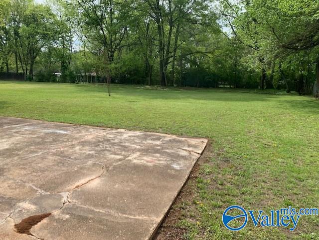 909 Carridale Street, Decatur, Alabama image 17