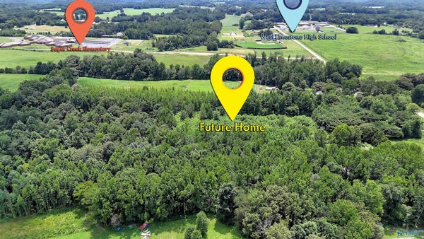 26600 W LIMESTONE SCHOOL RD, LESTER, AL 35647 - Image 75284f88529dc3e22bbd491834028d2d/1257205967