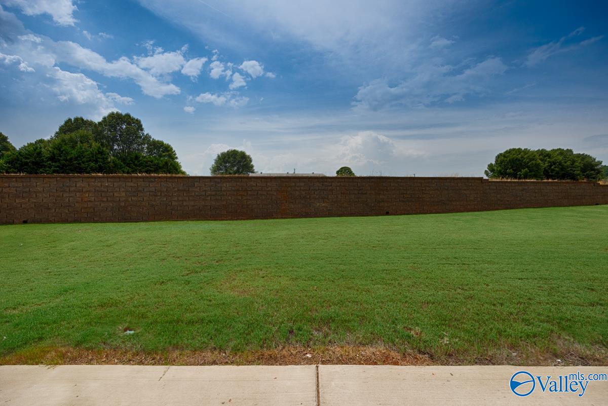 347 Kendall Downs Boulevard, Toney, Alabama image 47