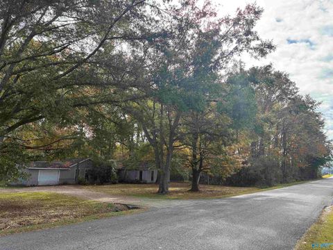 Homes For Sale - 1383 Lasseter Road<br/> Southside, AL 35907