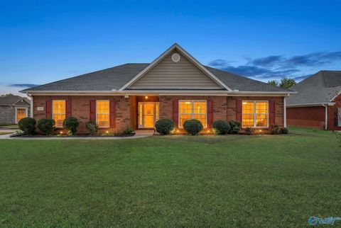 Homes For Sale - 15651 Coach House Court<br/> Harvest, AL 35749