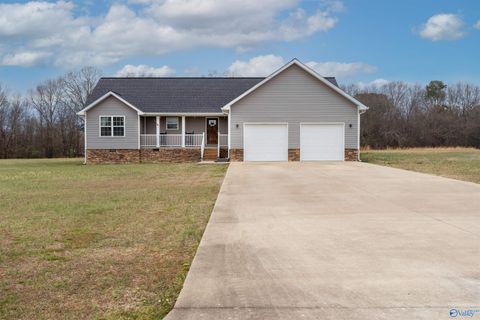 Homes For Sale - 160 Graben Drive<br/> Fyffe, AL 35971