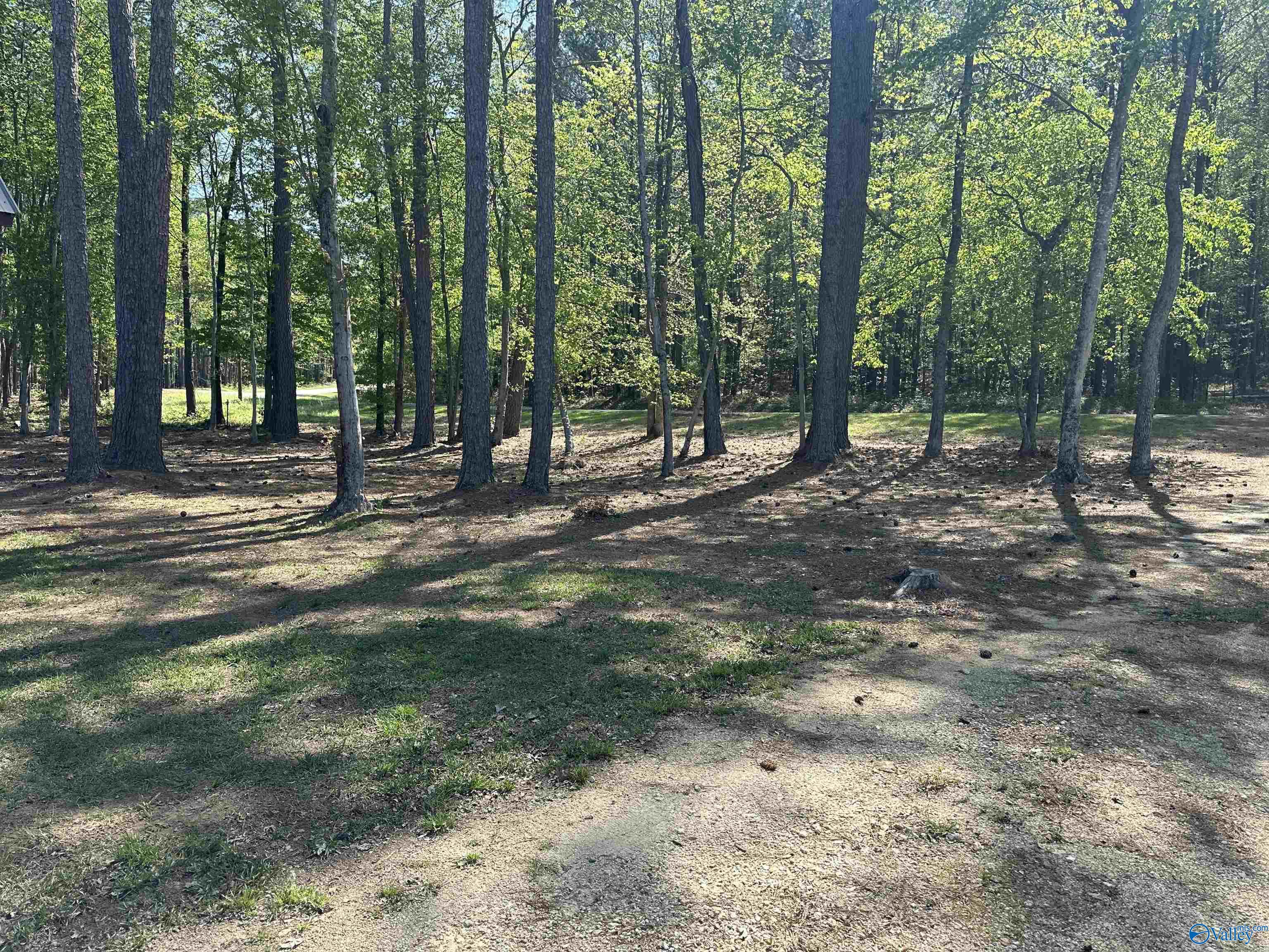 760-2 County Road 413 #LOT 10, Cedar Bluff, Alabama image 11