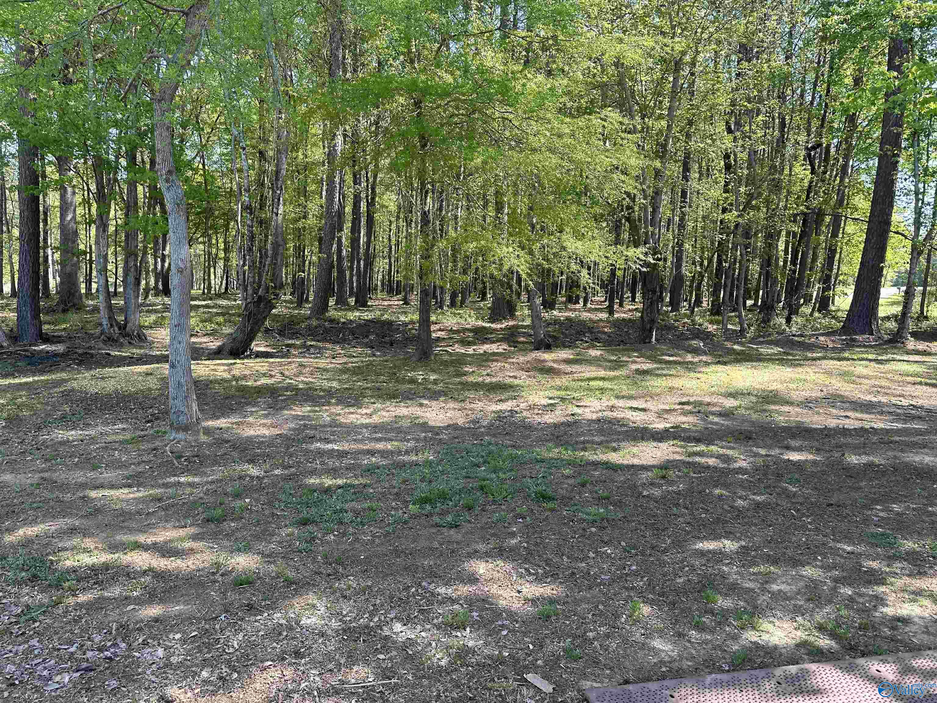 760-2 County Road 413 #LOT 10, Cedar Bluff, Alabama image 12