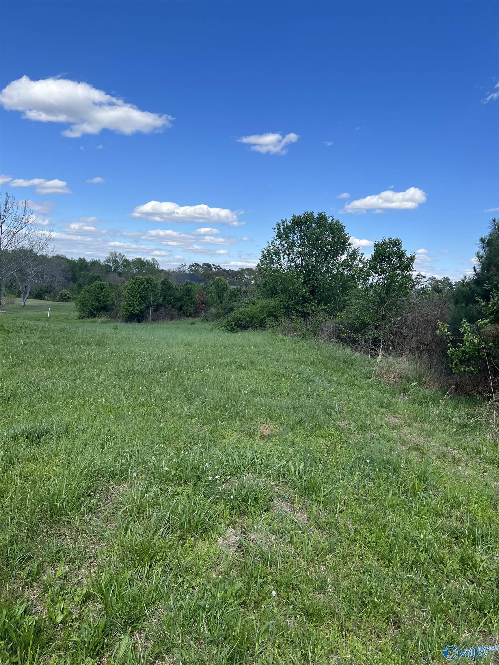 17.40 Acres East Main Street, Albertville, Alabama image 4