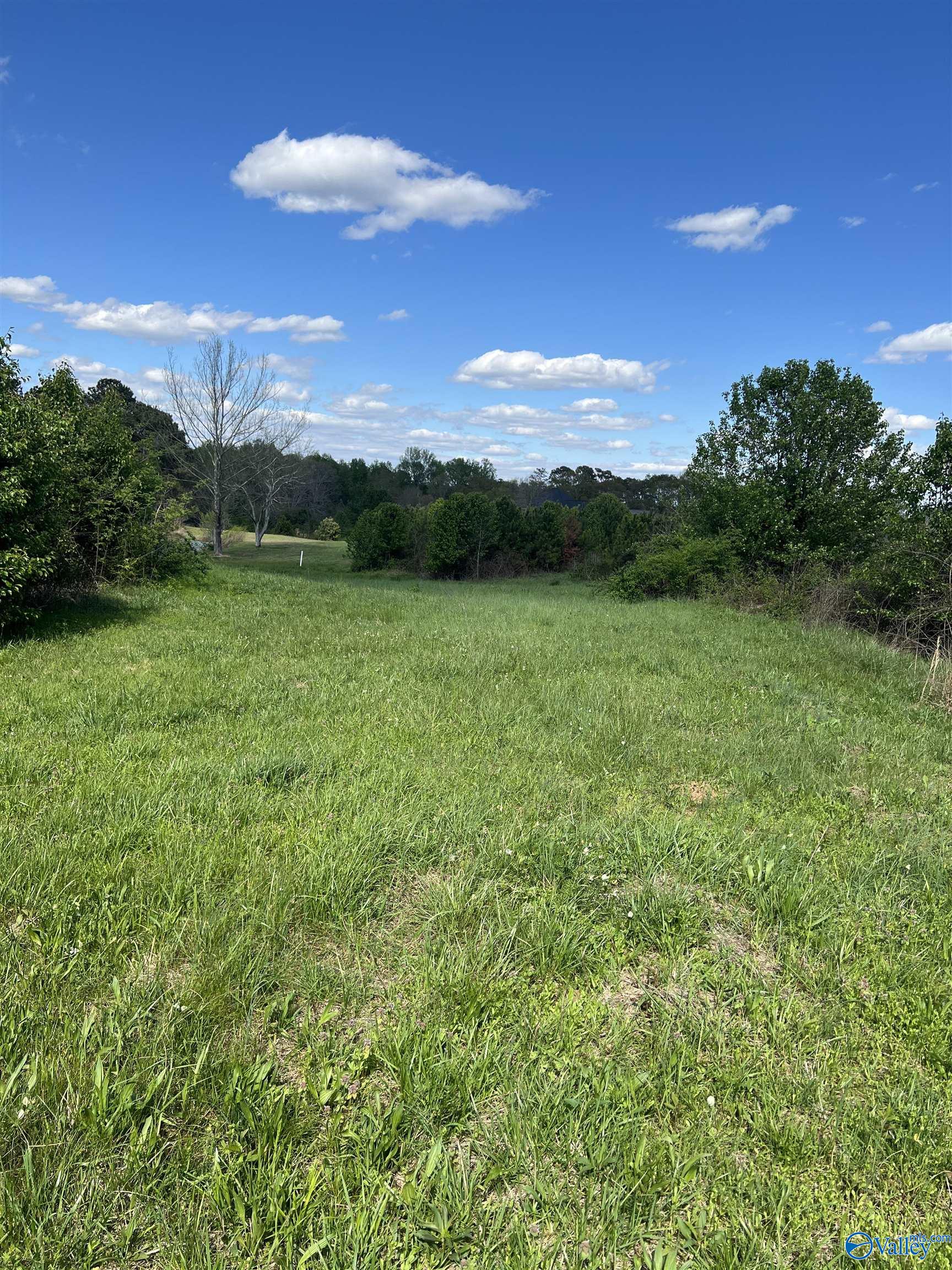 17.40 Acres East Main Street, Albertville, Alabama image 7