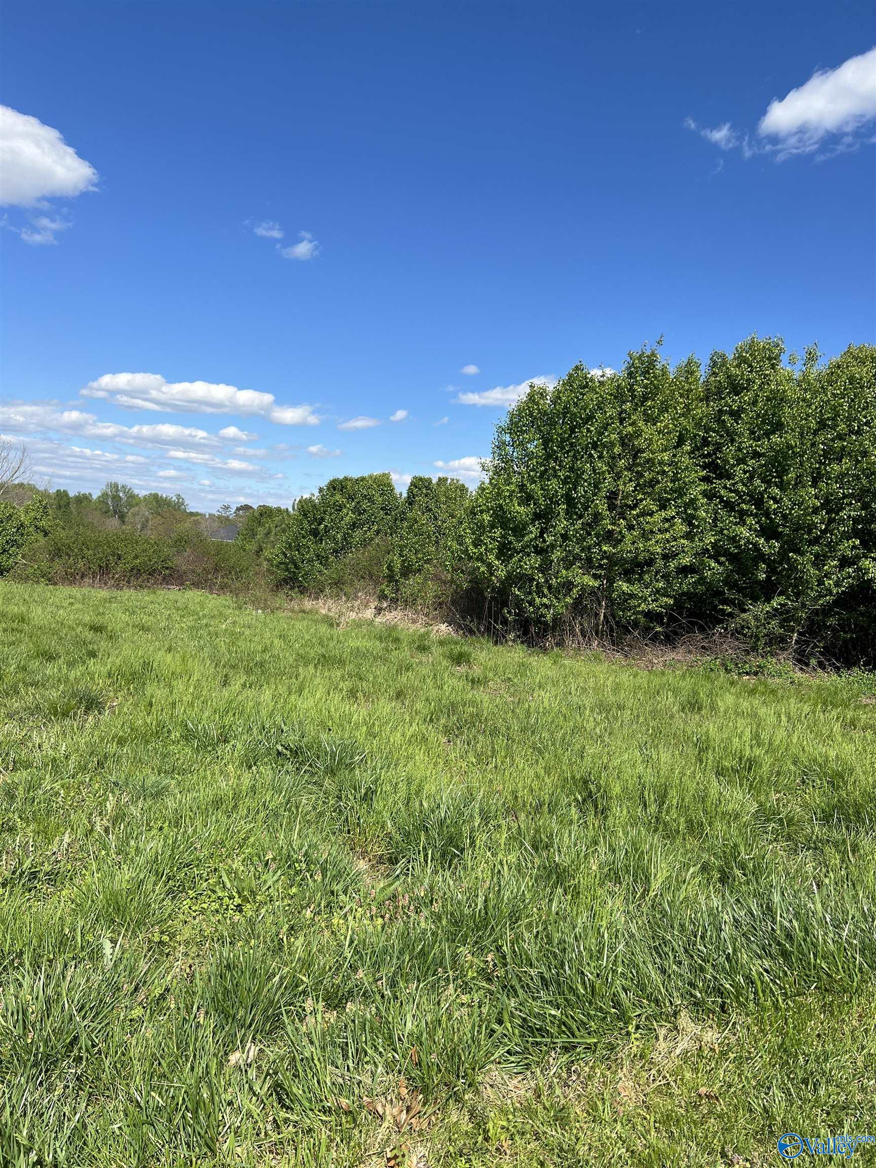 17.40 Acres East Main Street, Albertville, Alabama image 1