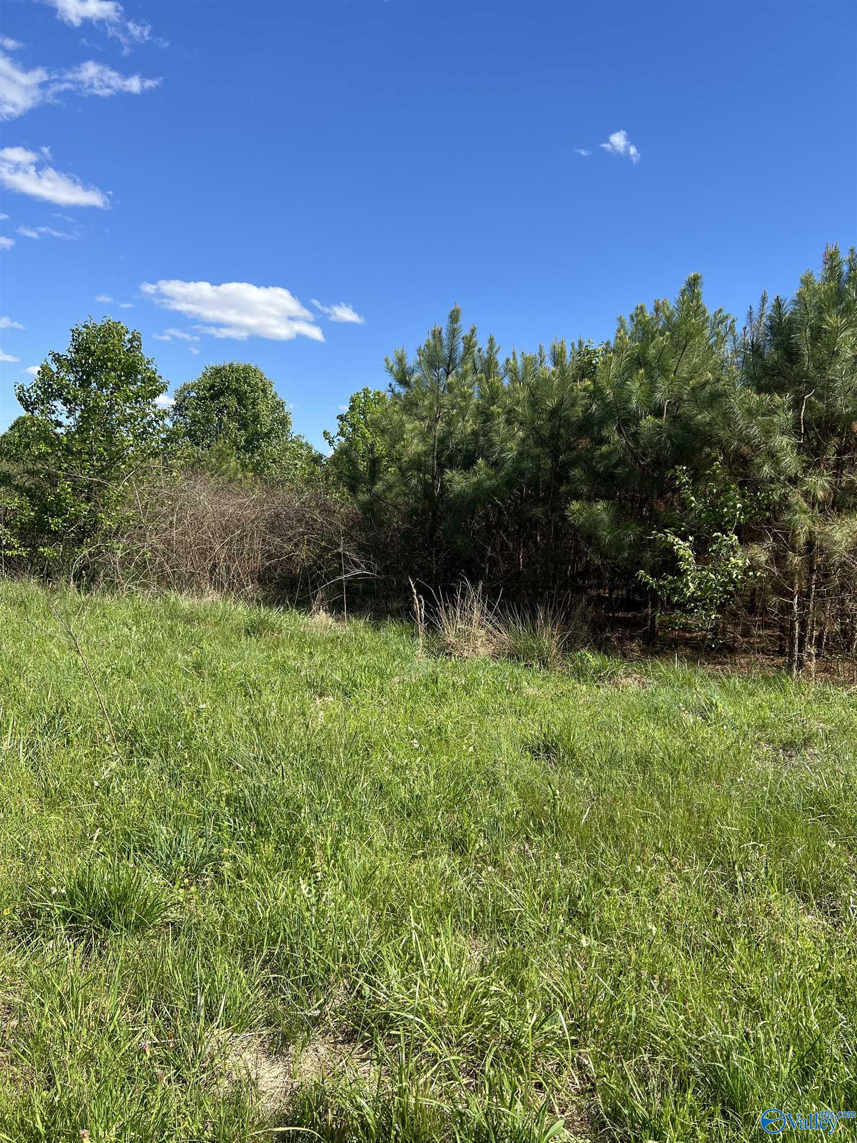 17.40 Acres East Main Street, Albertville, Alabama image 8