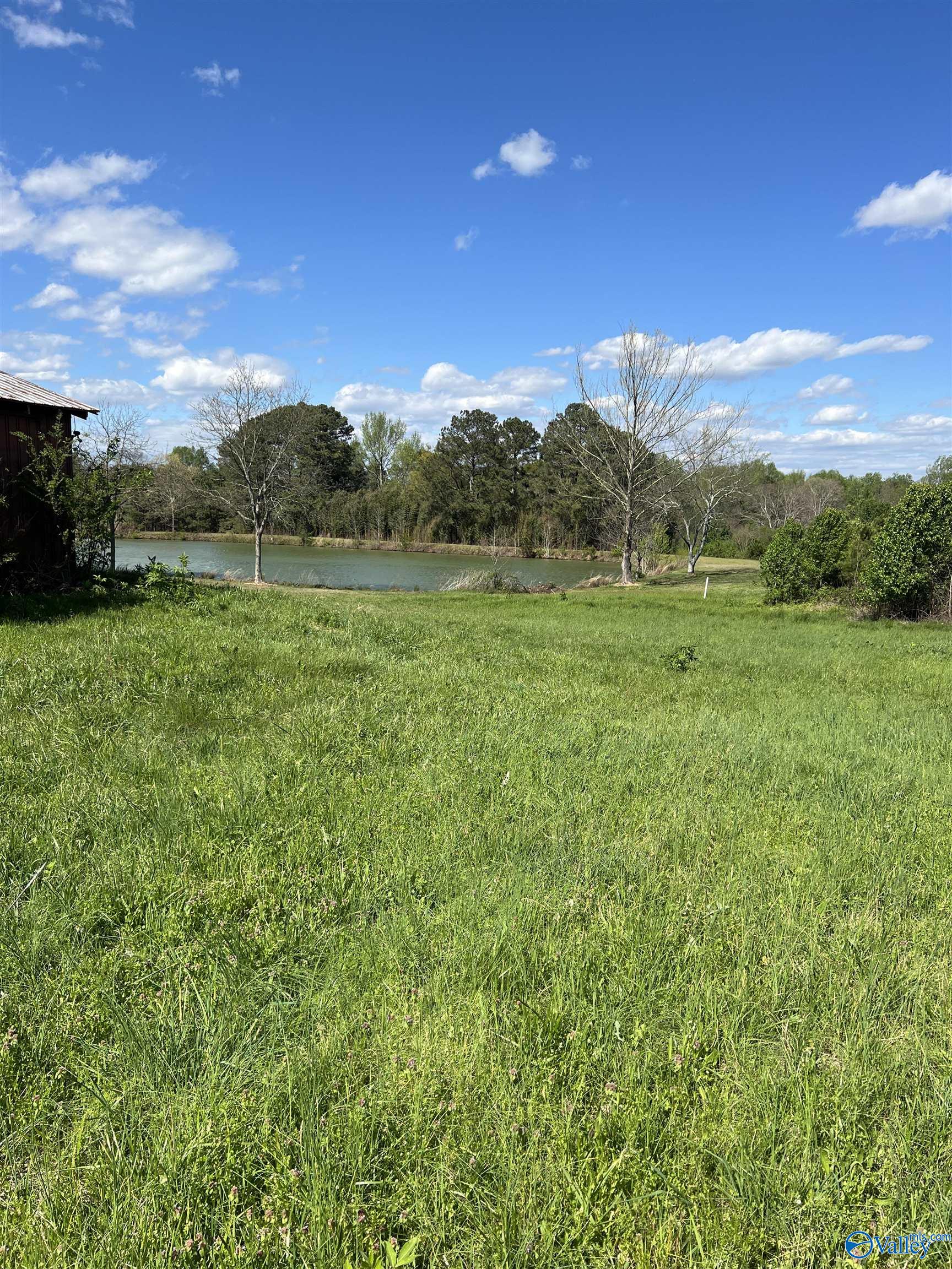 17.40 Acres East Main Street, Albertville, Alabama image 10