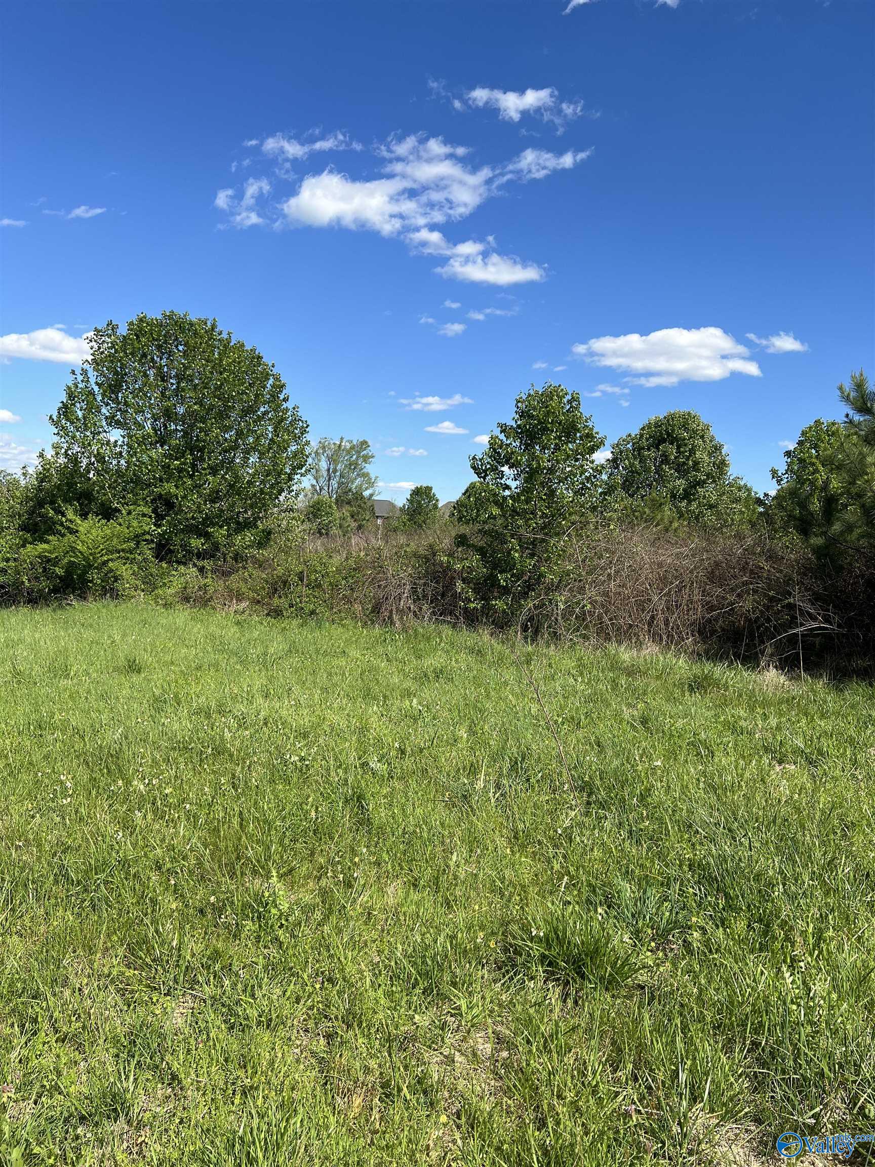 17.40 Acres East Main Street, Albertville, Alabama image 9