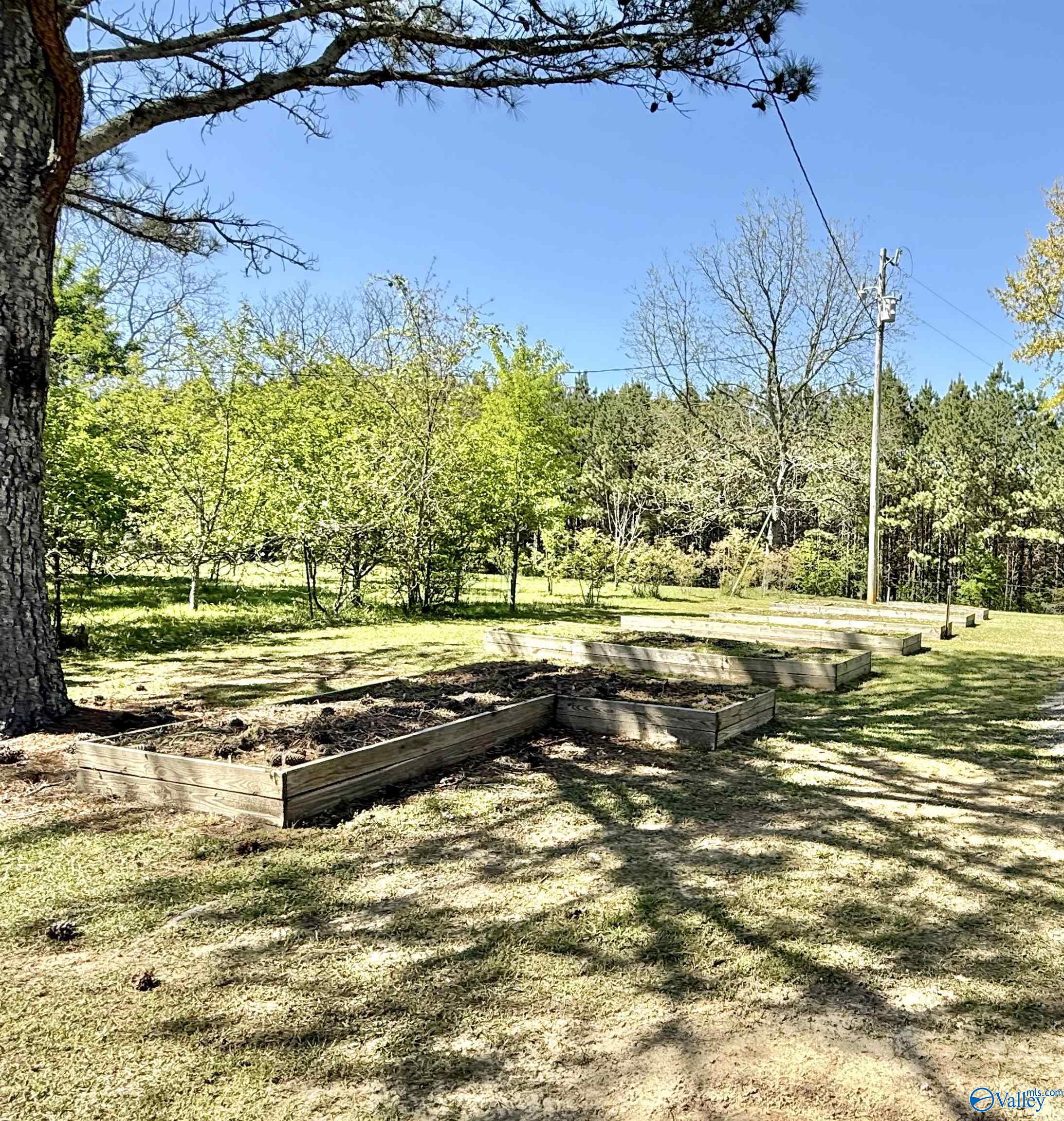 3950 County Road 48, Cedar Bluff, Alabama image 35
