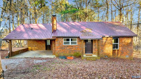 Photo of 1801 Fruit Farm Road, Fort Payne, AL 35967 (MLS # 21910364)